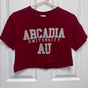 arcadia crop top